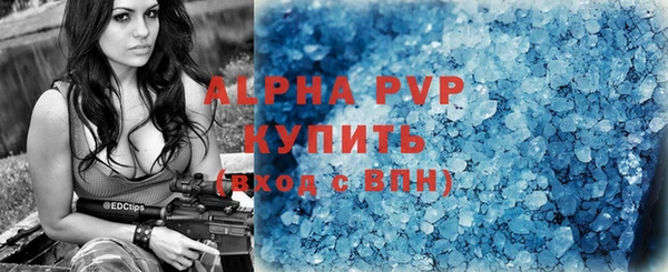гашик Богданович