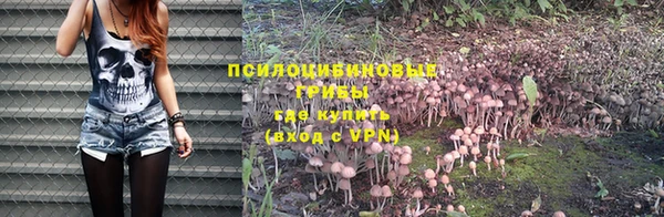 марки lsd Бородино