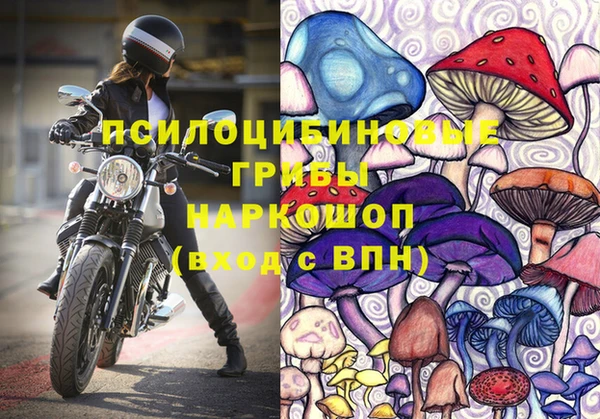 таблы Верея