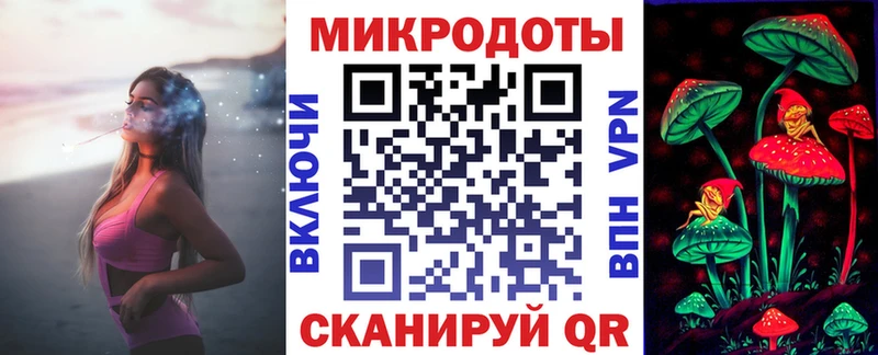 Псилоцибиновые грибы Psilocybe  что такое наркотик  Вичуга 